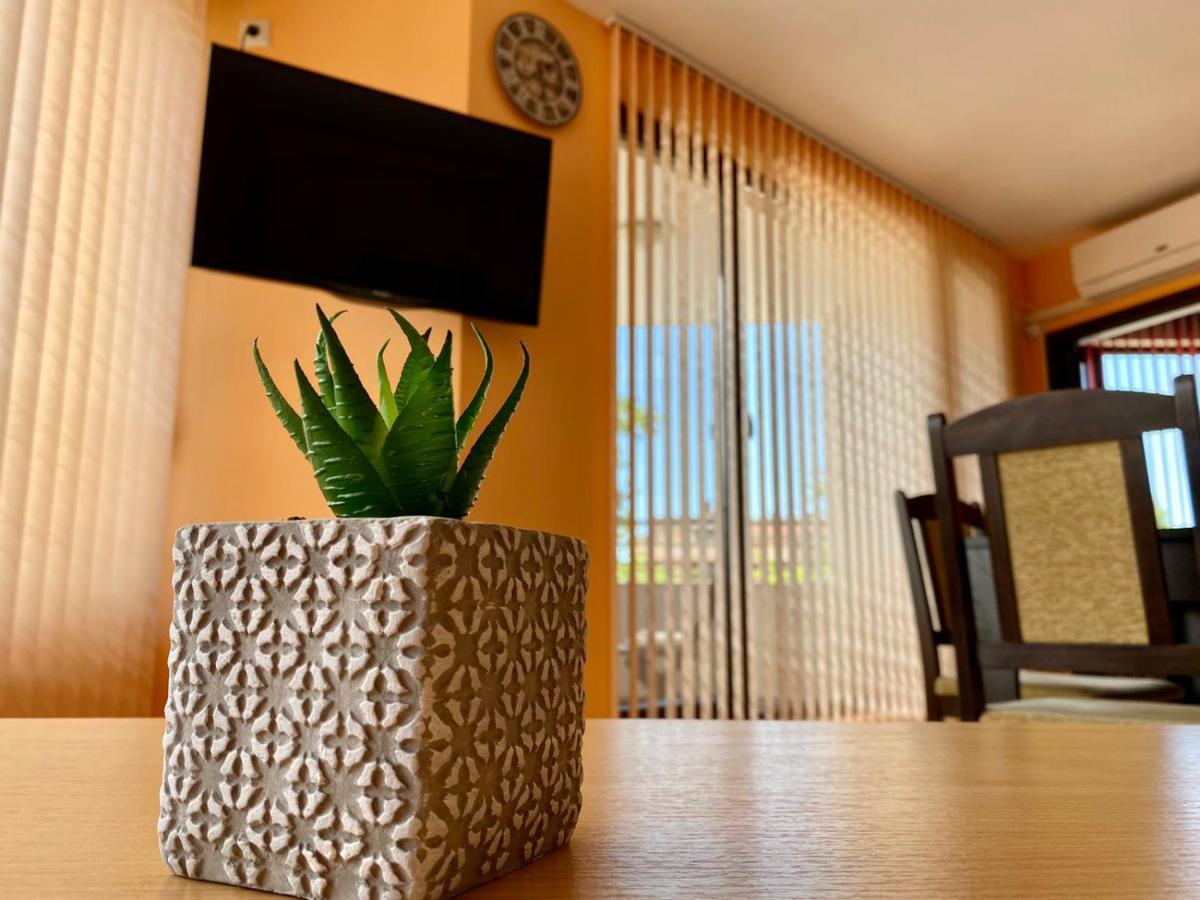 Cozy Apartment In The Center Of بريمورسكو المظهر الخارجي الصورة